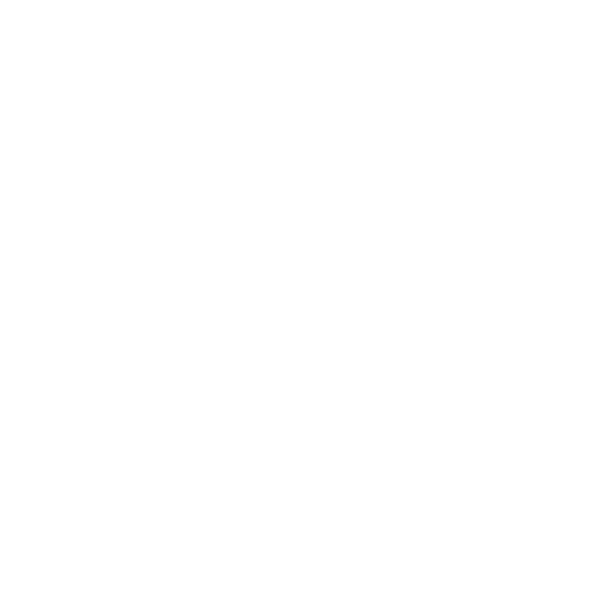 Galaxy Exchange white logo